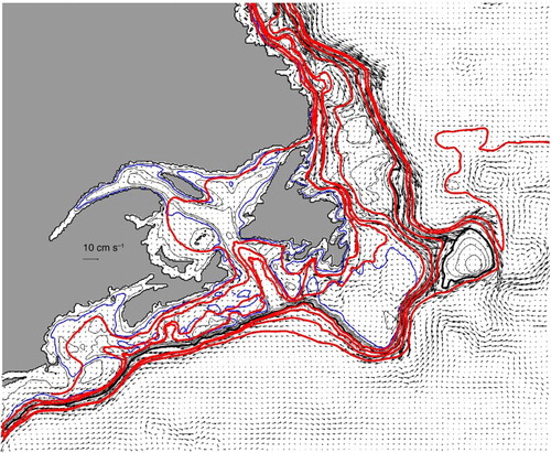 Fig. 4 Circulation and streamlines based on model climatological depth-averaged flow field. Streamlines selected to illustrate the various pathways from the northern Labrador Shelf to the south and west. See text for details. Isobaths as in Fig. 2.