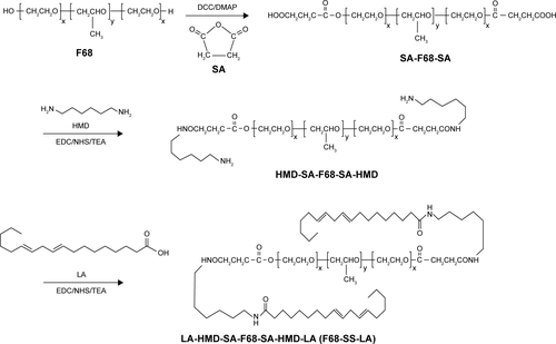 Figure S1 Synthetic route of F68-CC-LA copolymer.Abbreviations: DCC, N, N′-dicyclohexylcarbodimide; DMAP, 4-dimethylaminopyridine; EDC, 1-ethyl-3-(3-dimethylaminopropyl)-carbodiimide; HMD, 1,6-hexamethylenediamine; LA, linoleic acid; NHS, N-hydroxysuccinimide; SA, succinic anhydride; TEA, triethylamine.