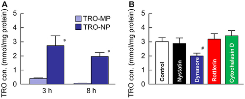 Figure 6 Effect of endocytosis on the content of TRO in cheek pouches of hamsters with OM after treatment with TRO gels. (A) Changes in TRO content in the cheek pouches of hamsters 3 h and 8 h after treatment with TRO gels (TRO-MP at 3 h and 8 h, n=5×2=10; TRO-NP at 3 h and 8 h, n=5×2=10). (B) Changes in TRO content in the cheek pouches of hamsters 3 h after co-treatment with endocytosis inhibitors and TRO-NP gel. Control, TRO-NP gel-treated hamsters (n=5). Each endocytosis inhibitor-treated hamster [nystatin (n=5), dynasore (n=5), rottlerin (n=5), cytochalasin D (n=5)] was co-treated with TRO-NP gel. Total n=45. *P<0.05 vs TRO-MP gel for each category (Student’s t-test). #P<0.05 vs control for each category (Tukey–Kramer test). TRO nanoparticles were taken up via the CME pathway, and TRO levels in the cheek pouches of hamsters treated with the TRO-NP gel were higher than those treated with the TRO-MP gel.