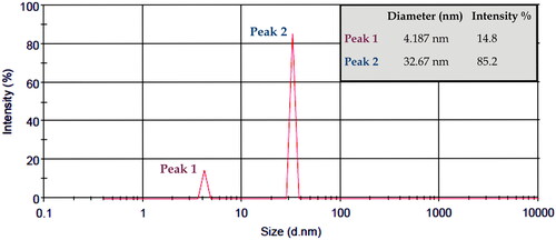 Figure 5. Particle size distribution of GO/NHs determining with DLS technique in PBS solution.