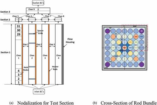 Fig. 2. COBRA-TF model for the RBHT test section: (a) nodalization for test section and (b) cross section of rod bundle.