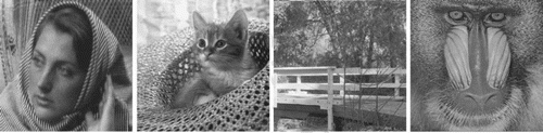 Figure 2. Original images for ‘Barbara’,‘Kitten’,‘Bridge’ and ‘Mandrill’, respectively.