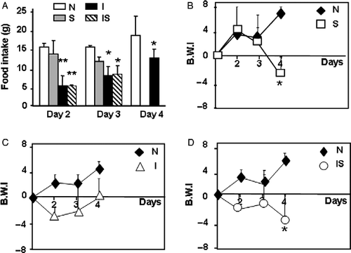 Figure 1  Changes in food intake and body weight during C. albicans infection in stressed rats. Wistar rats were assigned among four groups: normal uninfected and unstressed (N), stressed (S), C. albicans-infected (I), and infected-stressed (IS). IS rats were infected i.p. with 3 × 108 yeast cells on day 1 and stressed immediately after infection and during the next 2 days. Groups I or S were either infected or stressed as above. (A) Food intake was recorded every day. (B)–(D) Rats were weighed daily and body weight increment was expressed as body weight index (BWI): BW–BW initial/BW initial × 100. Data are mean+SD (Panel A); n = 13–15 per group. * vs. N p < 0.05; ** vs. N p < 0.01.