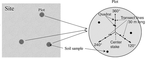 Figure 2. Schematic of the sampling method for the vegetation survey in the study region.