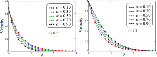 Figure 5. Representation of Maxwell fluid velocity against ϕ for distinct values of α.