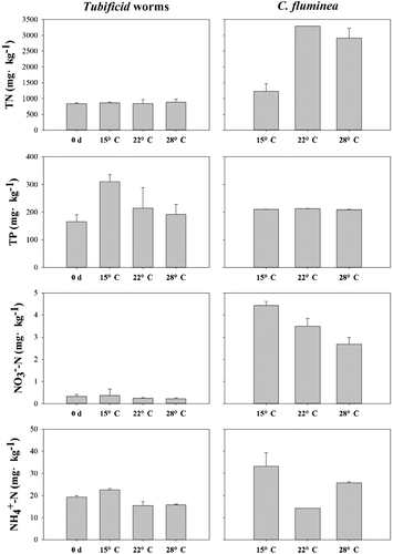 Figure 1. Properties of the surface sediment samples incubated under different temperatures. Left column for Tubificid worms and right column for C. fluminea.