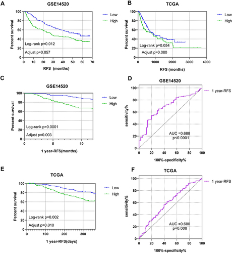 Figure 4 Prognostic RFS analysis of PUS1. (A and B) Kaplan-Meier plots of PUS1 in TCGA and GSE14520 cohorts. (D and F) Kaplan-Meier plots and receiver operator curves of PUS1 for 1 year- RFS in TCGA cohort. (C and E) Kaplan-Meier plots and receiver operator curves of PUS1 for 1 year- RFS in GSE14520 cohort.