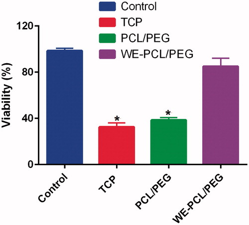 Figure 5. Viability of ADSCs cultured in the presence and absence of 1% H2O2 on PCL-PEG nanofibers and WE-loaded PCL-PEG nanofibers. Viability was significantly reduced on PCL-PEG nanofibers lacking WE due to oxidative stress (* p ≤ 0.05). Results are mean ± SD (n = 3).