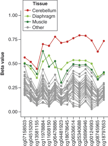 Figure 3. Observed methylation level of nc886 locus in 30 tissues of a 112 year-old female. In this individual, cerebellum has a considerably higher level of methylation compared with other tissues. Muscle and diaphragm also show slightly elevated levels of methylation compared with other tissues. For a figure with all tissues presented in color, see Supplementary Figure 8.