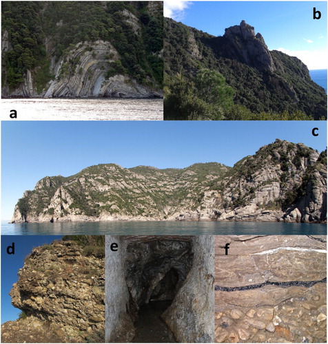 Figure 4. Geosites of the Portofino Park: (a) folds in marly limestones Flysch (see geosites list n. 3 in the Main Map), photo by A. Girani; (b) Mt. Campana from the Batterie geo-viewpoint, photo by F. Faccini (n. 35); (c) high rocky cliffs, photo by A. Girani (n. 10); (d) conglomerates, photo by A. Girani; (e) coal interlayers in conglomerate, photo by B. Mortola (n. 13); (f) Caselle spring, photo by F. Faccini (n. 18).