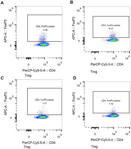 Figure 2 Representative flow cytometric dot-plots of peripheral blood Tregs cells in the each group of subjects. (A) is Healthy control; (B) is COPD patient; (C) is T2DM patient; (D) is COPD+T2DM patient. The percentage of positive cells is shown in each panel.