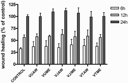 Figure 3. Influence of Veronica extracts on the migratory capacity of EA.hy926 cells. Confluent monolayers of EA.hy926 cells were wounded and immediately after formation of scratches treated with investigated extracts (25 µg/ml). The healing process was monitored at indicated time-points and data are expressed as a percentage of scratch width covered by proliferating and/or migrating cells, where the healing capacity of the untreated control cells after 24 h was set at 100%. VU = Veronica urticifolia; VJ = Veronica jacquinii; VT = Veronica teucrium; AW = acetone–water; ME = methanol.