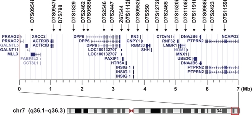 Figure 1 Location of 20 microsatellite markers used in this study and the genes around the GPDS1 locus. Display of genes and chromosome seven results in the UCSC genome browser on Human Mar. 2006 Assembly at chr7: 151,120,000–158,120,000.