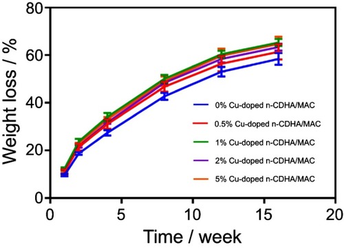 Figure 3 Weight loss of n-CDHA/MAC composite scaffolds with different concentration of Cu after immersing in PBS over time.Abbreviations: n-CDHA/MAC, nano calcium-defcient hydroxyapatite/multi(amino acid) copolymer; PBS, phosphatic buffer solution.