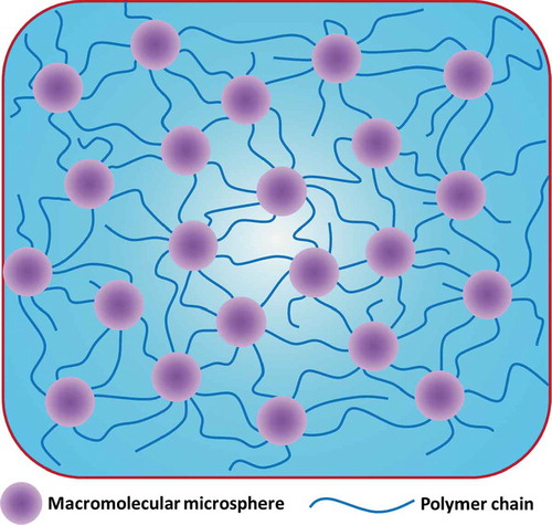 Figure 12. Schematic illustrations of an MMC hydrogel structure. The MC hydrogel structure is similar to that of the MMC hydrogel structure as long as the macromolecular microsphere is replaced by a microgel