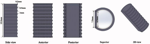 Figure 1. CAD modeling images of the tracheal scaffold.