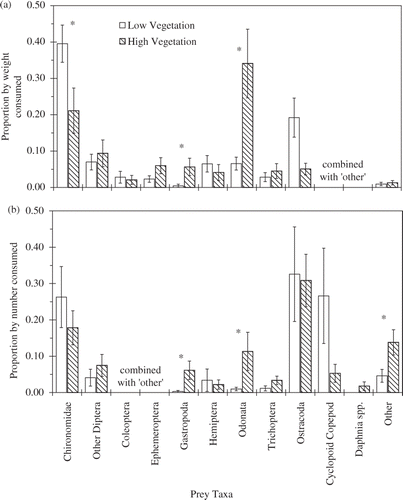 Figure 4. Proportion by weight and number of different prey taxa consumed by juvenile bluegill during a 3-month experiment conducted in 0.4-ha ponds to test the effects of vegetation biomass on growth of bluegill. Ponds were high (n = 4; 712 ± 54.3 g m−2; hatched bars) or low (n = 4; 109 ± 21.0 g m−2; open bars) vegetation biomass treatments. Taxa that always had proportion by weight or number <2% of the total were pooled with unidentifiable taxa as ‘other’. Taxa marked ‘NA’ were grouped as ‘other’ for the analysis. Bars indicate 1 SE.