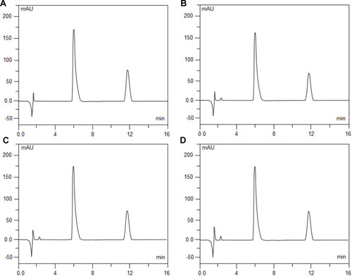 Figure 4 Chromatograms of 20μg/mL fentanyl citrate and 4μg/mL naloxone hydrochloride admixtures that were freshly prepared (A), exposed to 0.1 mol/L hydrochloric acid (HCl) at 60°Cfor 5 hours (B), exposed to 0.1 mol/L sodium hydroxide (NaOH) at 60°Cfor 5 hours (C), and exposed to 3% hydrogen peroxide (H2O2) at 60°C for 5 hours (D). Fentanyl citrate elutes at 6.21 min (peak 1) and naloxone hydrochloride at 11.97 min (peak 2).