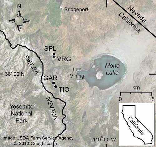 Figure 1. Map of the study region in the eastern Sierra Nevada, California, with location of four transect sites. See Table 1 for site names