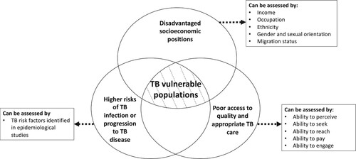 Figure 1. Criteria for determining populations vulnerable to TB.