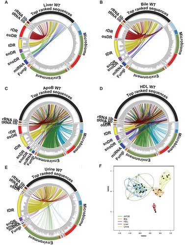 Figure 7. Class-independent analysis defines sRNA content across lipoproteins, biofluids and tissues. (a–e) Circos plots linking the most abundant (top 100) sequences to assigned groups for non-host libraries (rRNA lib, tRNA lib), host sRNAs (rDR, osRNA, tDRs, snDRs, snoDRs and miRNAs) and non-host genomes (fungi, environment, and microbiome) for (a) liver, (b) bile, (c) APOB, (d) HDL and (e) urine. (f) Principal Coordinate Analysis (PCoA) of sRNA profiles based on class-independent analyses. Wild-type mice, WT (open circles); Scavenger receptor BI Knockout mice (Scarb1−/-), SR-BI KO (filled circles). HDL WT, N = 7; HDL SR-BI KO N = 7; APOB WT, N = 7, APOB SR-BI KO N = 7; Liver WT, N = 7; Liver SR-BI KO, N = 7; Bile WT, N = 7; Bile SR-BI KO, N = 6; Urine WT, N = 5; Urine SR-BI KO, N = 6.
