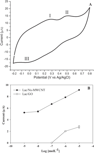 Figure 5. Catechin detection in white wine voltammogram. (A) Sites 1 and 2 represent the oxidation peaks and site 3 the reduction peak. This type of wine contains one of the lowest concentrations of catechin. (B) Limit of detection of catechin with laccase on CNx-MWCNT and GO. The assays were done in triplicate (table 1S, supplementary materials).