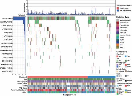 Figure 1. Mutational landscape of significantly mutated genes in triple-negative breast cancer (TNBC) patients.