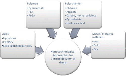 Figure 5. Nanotechnological approaches for aerosol delivery of drugs.