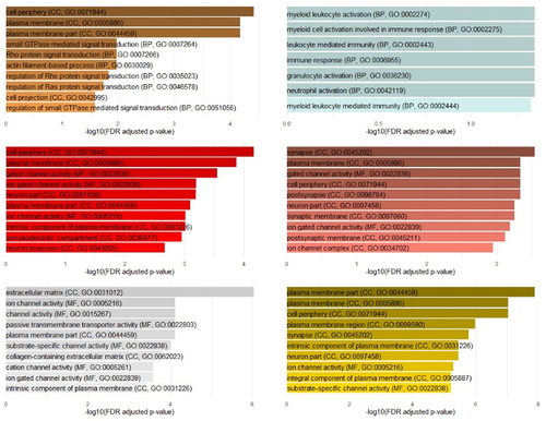 Figure 5. Top enriched pathways in six modules associated with PCDF130 in female subsample. Top enriched pathways in the brown, light cyan, red, salmon, white, & yellow module significantly associated with PCDF130 in female neonates. Biological pathway terms are ranked by -log10 FDR. GO aspect and GO ID are shown in parentheses. Note. GO aspects are CC = cellular component, MF = molecular function, BP = biological process.