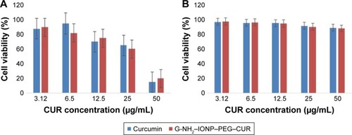 Figure 8 The cytotoxicity of G-NH2–IONP–PEG–CUR and free CUR (after 48 hours) on: (A) HepG2 and (B) pC12.