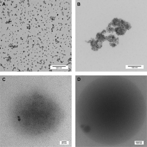 Figure 2 TEM micrographs of (A) maghemite (nonspray-dried iron oxide NPs), (B) hematite (spray-dried iron oxide NPs), (C) PCL–CIP–maghemite microsphere, and (D) PCL–CIP–hematite microsphere.Abbreviations: TEM, transmission electron microscope; NPs, nanoparticles; PCL, polycaprolactone; CIP, ciprofloxacin.