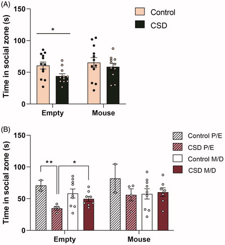 Figure 5. Chronic social defeat stress exposure leads to avoidance of an inanimate object, but not to social avoidance in female C57Bl/6n mice and this process is influenced by the cycle phase. Chronic social defeat stress (CSDS) exposure (A) leads to a decreased approach of an inanimate object, but did not affect the approach of a CD1 female adolescent mouse. The avoidance of an inanimate object (B) was stronger in CSDS mice within the proestrus/estrus (P/E) phase and therefore the effect of CSDS is mostly driven by mice in this P/E phase. CSD: chronic social defeat stress; P/E: proestrus/diestrus; M/D: metestrus/diestrus; data represent mean ± SEM. *p < 0.05; **p < 0.01.
