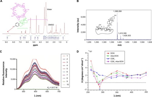 Figure 2 Characterization of CDE1.Notes: (A) The 1H-NMR spectrum of CDE1 (800 MHz, d4-DMSO, temperature =298 K). (B) The HR-MALDI-TOF spectrum of CDE1-Ada-DOX. (C) Fluorescence emission spectra of CDE1-Ada-DOX (ConAda-DOX =50 µM) in DMSO at different CDE1 concentrations of 0.17, 0.26, 0.35, 0.44, 0.53, 0.62, 0.71, 0.79, and 0.88 mM, with increasing step of 0.08 mM. (D) Circular dichroism spectra of CDE1-Ada-DOX. Samples in fluorescence measurements are excited at λex =485 nm.*103 indicates the y-axis value needs to be multiplied by 1,000.Abbreviations: CDE1, estrone-conjugated cyclodextrin; DMSO, dimethyl sulfoxide; HR-MALDI-TOF, high-resolution matrix-assisted laser desorption/ionization-time of flight; NMR, nuclear magnetic resonance; Ada-Dox, adamantane-doxorubicin.