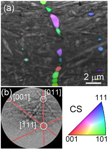 Figure S4. (a) A EBSD map with the Ti2NiOx phase inverse pole figure colour map overlaid on an image quality map (showing the morphology of B19′ martensite variants) in the fully healed NiTi. (b) A Kikuchi pattern obtained from the Ti2NOx phase. CS: cross-section. This EBSD result further demonstrates the formation of Ti2NiOx and its role in the healing of NiTi cracks.