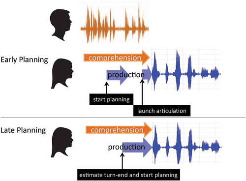 Figure 1. Illustration of the early planning and the late planning model for the timing of cognitive turn-taking processes.