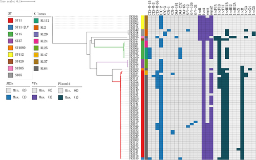 Figure 1 Phylogenetic tree based on core genome alignment of 63 Carbapenem-Resistant Hypervirulent Klebsiella pneumoniae in a tertiary hospital in East China. The different STs and KLs is color-coded and illustrated at the tips. The clusters also differed with several colors. The occurrence of resistance and virulence genes, and plasmid replicons were also color-coded. The tree was rooted in the midpoint. Scale bar represents 0.01 mutations per nucleotide position.