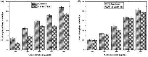 Figure 4. In vitro examination of antidiabetic activity using α-glucosidase and α-amylase.