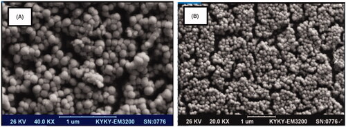 Figure 3. SEM images before (A) and after (B) LDL nanoprobe formation.