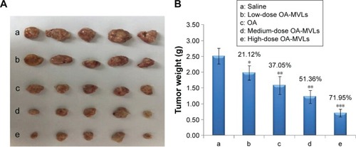 Figure 8 Effects of various treatments on tumor.Notes: The H22 tumor-bearing mice in each group were given the different formulations. Two weeks later, the mice were euthanized by administering CO2. Tumor images were taken by Nikon D70 digital camera (A), and the weight was also measured (B). The significance of the differences was evaluated using Student’s t-test (*P<0.05, **P<0.01, and ***P<0.001). The tumor inhibition rate was calculated using the following formula: Tumor inhibition rate (%) =100× (Mean tumor weight of control group - Mean tumor weight of treated group)/Mean tumor weight of control group. Data are shown as the mean ± SD in each group (n=5).Abbreviations: SD, standard deviation; OA, oleanolic acid; OA-MVLs, oleanolic acid-encapsulated multivesicular liposomes.