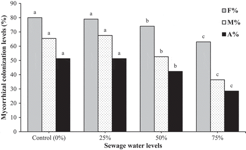 Figure 1. Frequency, intensity of mycorrhizal colonization and arbuscular frequency in the root tissues of mycorrhizal marigold plants grown under sewage water contaminated soil. Non-mycorrhizal plants showed no colonization. There is no significant difference (P ≤ 0.05) between the mean values which are followed by the same letter (Duncan’s multiple range test). Each bar shows the mean of 4 replicates. F% = Frequency (%); M% = Intensity of mycorrhizal colonization (%); A% = Arbuscular frequency (%).