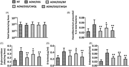 Figure 2. Chang-wei-qing ameliorated microbiota changes in CAC mouse model. (A) The total count of bacteria. (B) The relative numbers of Faecalibacterium prausnitzii. Faecal microbiota was assessed by quantitative PCR using specific primers. (C) Activity of β-glucuronidase was measured in the colon content. (D) d-Lactose and (E) endotoxin were measured in the peripheral blood. Data are means ± SD (n = 6 for each group). Experiments were repeated for three times. *p < 0.05, **p < 0.01 vs. AOM/DSS group.