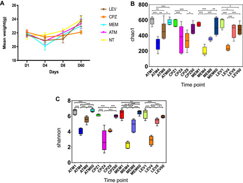 Figure 1 (A) Changes in the body weight of mice during antibiotic treatment. D1: before treatment. D4, D8, and D60: 4, 8, and 60 days after treatment. Microbial diversity measured by the Chao1 index (B) and Shannon index (C) was altered by antibiotic treatment across the treatment groups. *P < 0.05, **P < 0.01, ***P < 0.001 vs the control group.