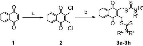 Scheme 1. Synthesis of 2,3-didithiocarbamate-substituted naphthoquinones. Reagents and conditions: (a) formaldehyde, HCl, HAc, H2O, 0 °C, 68.9%; (b) CS2, amine, CH3CN, rt, 78–94%.