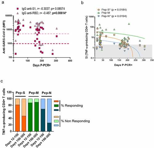 Figure 3. Specific CD4+ T-cell response to SARS-CoV-2 peptides at 10 months post-infection.