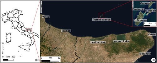 Figure 1. (a) Location map of the study area in Southern Italy; (b) satellite image of Gargano promontory’s coast (ESRI Satellite, World Imagery). In the red zoomed box, there is the orthophoto image of the Tremiti Islands (Puglia Region, http://www.sit.puglia.it).