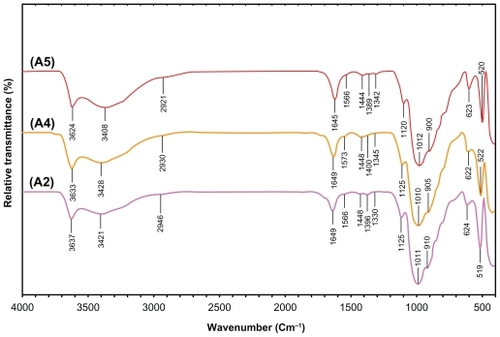 Figure 10 Fourier transform infrared spectra for the silver/montmorillonite/chitosan bionanocomposites at different AgNO3 concentrations: (A2) 1.0% (A), (A4) 2.0% (B), and (A5) 5.0% (C).
