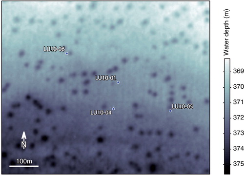 Fig. 2  Bathymetry of the study area with the coring sites. See Fig. 1 for location in the south-western Barents Sea. Note the occurrence of several pockmarks, appearing as circular depressions (Pau et al. Citation2014). Multibeam bathymetry acquired by the Norwegian Defence Research Establishment.