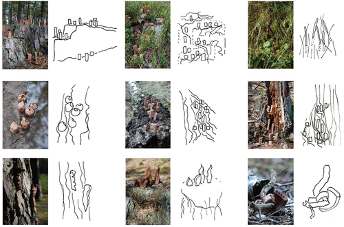 Figure 21. Conceptual sketches of potential urban layouts based on the conducted research—stage of analysis, selected examples, A. Kurkowska.