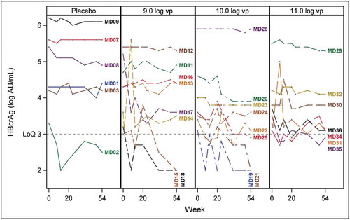 Figure 3. Individual HBcrAg evolution over time in MD cohort. Only patients displaying a baseline HBcrAg level > LoQ are represented. Data are presented as changes from baseline. Each colored line represents an individual patient. Dots represent HBcrAg values measured for a given time point (from time of vaccine administration (0) till week 52/54 (last time point). The four groups of patients are indicated (Placebo and 109, 1010, 1011 vp – injected groups).