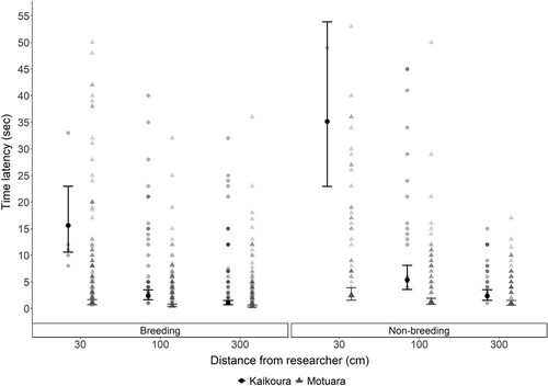 Figure 1. Fitted mean latency times (±SE) for South Island robins to approach and remove the first mealworm at three distances (30, 100, 300 cm) from researcher at Kaikoura (mainland site, black dots) and on Motuara Island (grey triangles) depending on the season (breeding, non-breeding season). Fitted means were back transformed from a log scale to exponential for the purpose of this figure. Raw values are also given, with darker shades indicating more overlapping values.